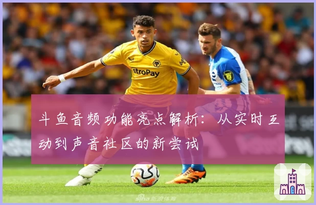 斗鱼音频功能亮点解析:从实时互动到声音社区的新尝试