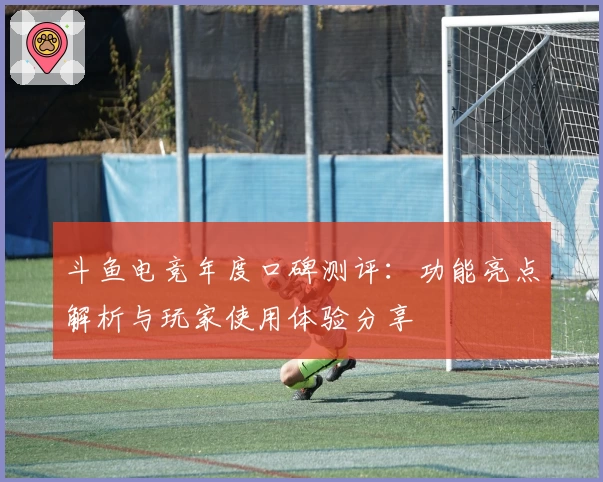 斗鱼电竞年度口碑测评：功能亮点解析与玩家使用体验分享