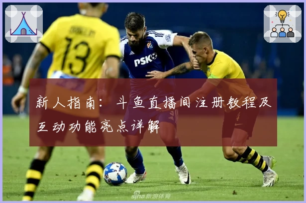 新人指南：斗鱼直播间注册教程及互动功能亮点详解