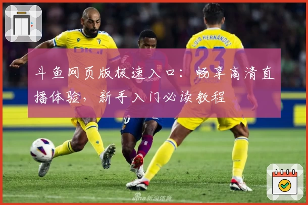斗鱼网页版极速入口:畅享高清直播体验,新手入门必读教程