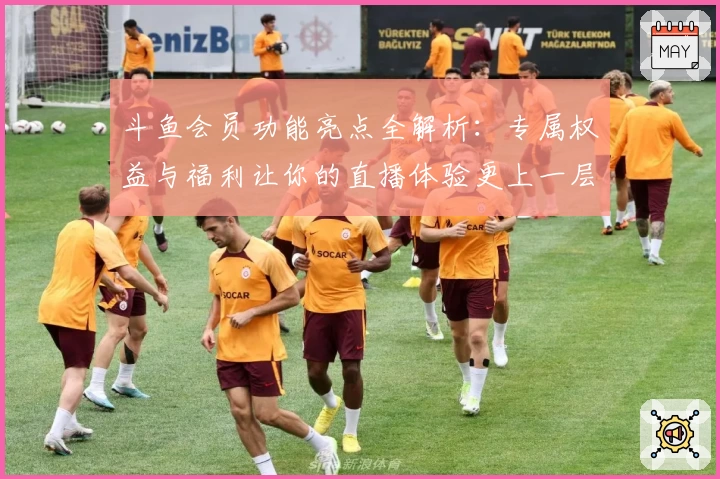 斗鱼会员功能亮点全解析：专属权益与福利让你的直播体验更上一层楼