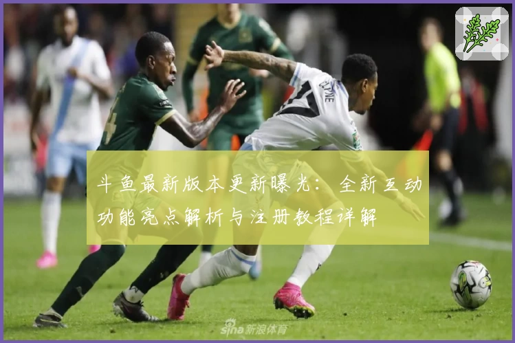 斗鱼最新版本更新曝光：全新互动功能亮点解析与注册教程详解