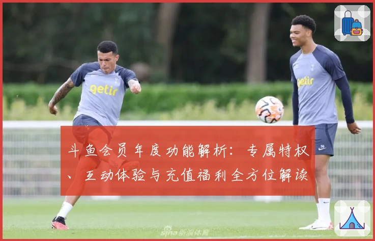 斗鱼会员年度功能解析：专属特权、互动体验与充值福利全方位解读