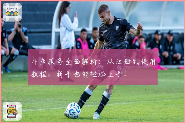 斗鱼服务全面解析：从注册到使用教程，新手也能轻松上手！