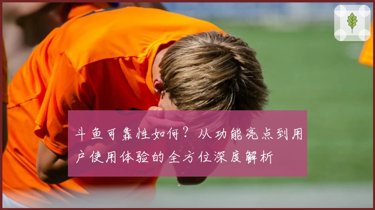 斗鱼可靠性如何？从功能亮点到用户使用体验的全方位深度解析