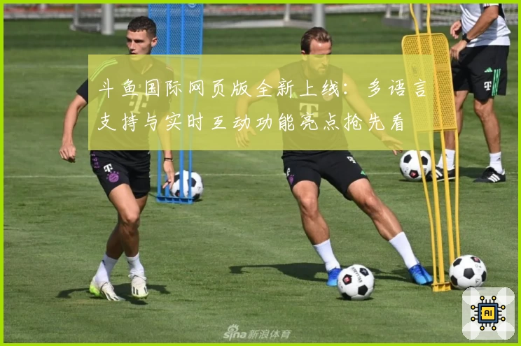 斗鱼国际网页版全新上线：多语言支持与实时互动功能亮点抢先看
